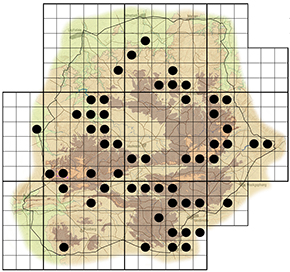 Coptosperma supra-axillare Waterberg distribution